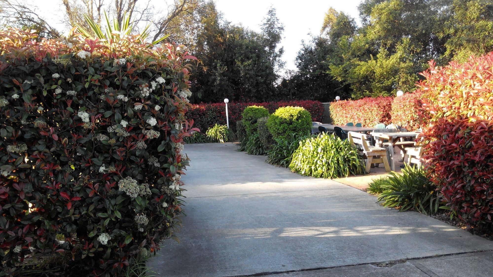 Branxton House Motel Dış mekan fotoğraf